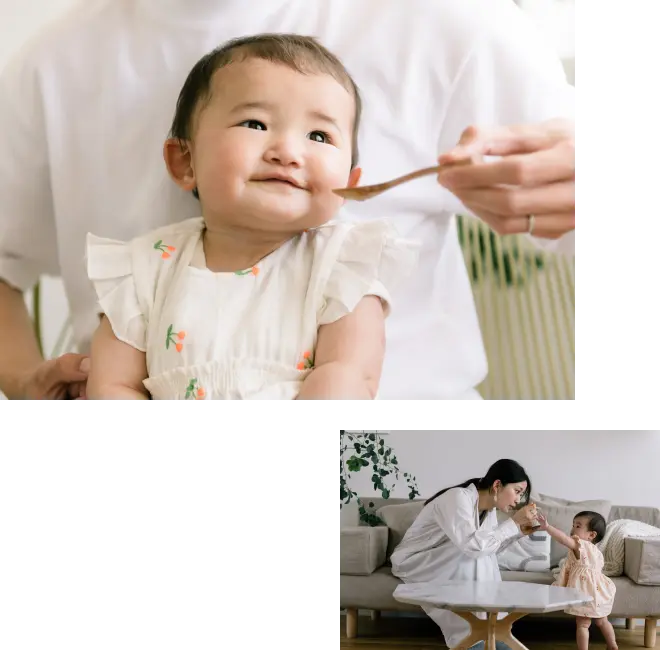 乳児用規格適用食品